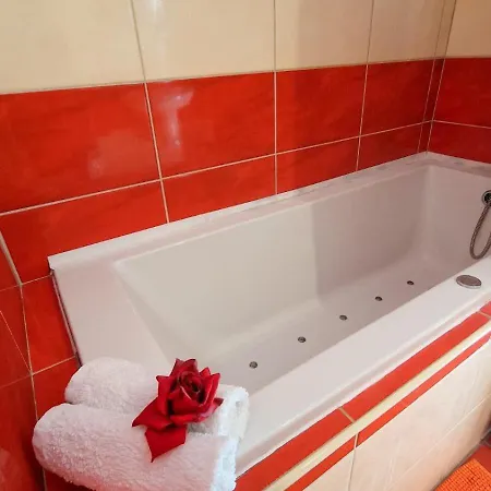Guest house Brasserka 2*