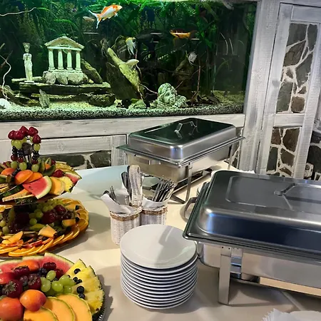 Guest house Brasserka 2*